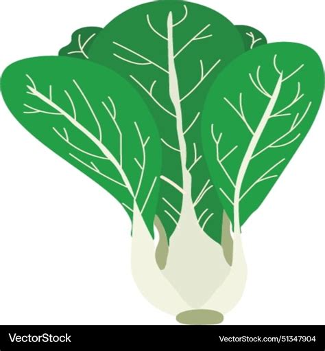 Pechay Images, Illustrations & Vectors (Free) .